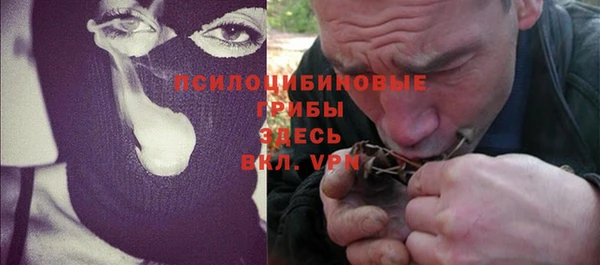 сатива Верея