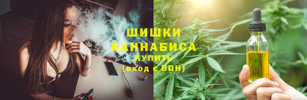 ешки Бородино
