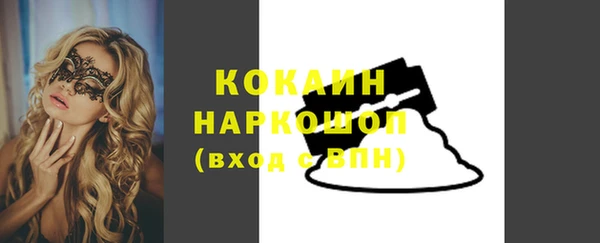 ешки Бородино
