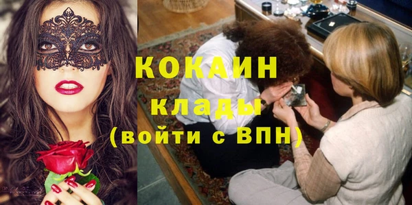 сатива Верея