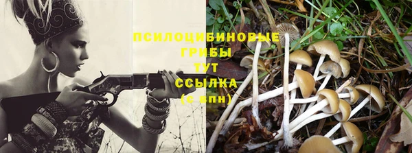 ешки Бородино