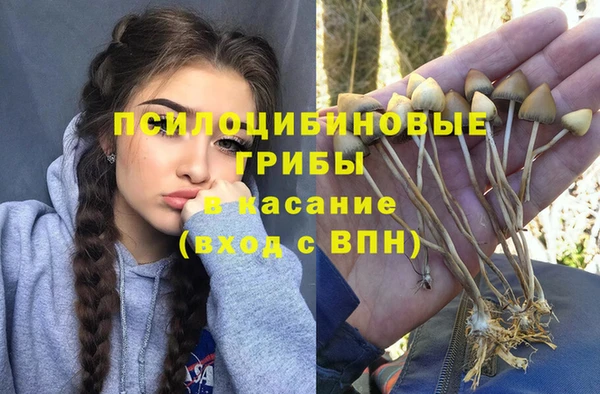 MDMA Premium VHQ Бугульма